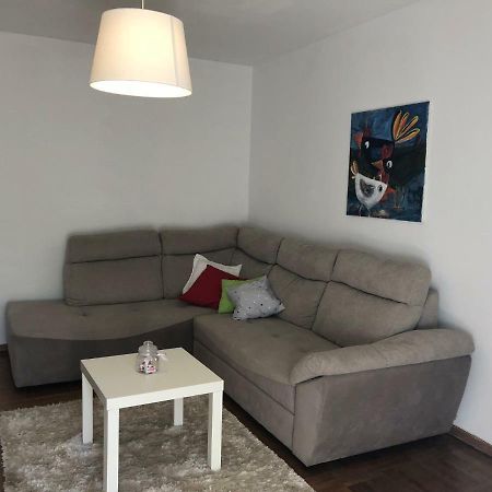 Apartment Safran Novigrad Istria Esterno foto