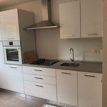 Apartment Safran Novigrad Istria Esterno foto