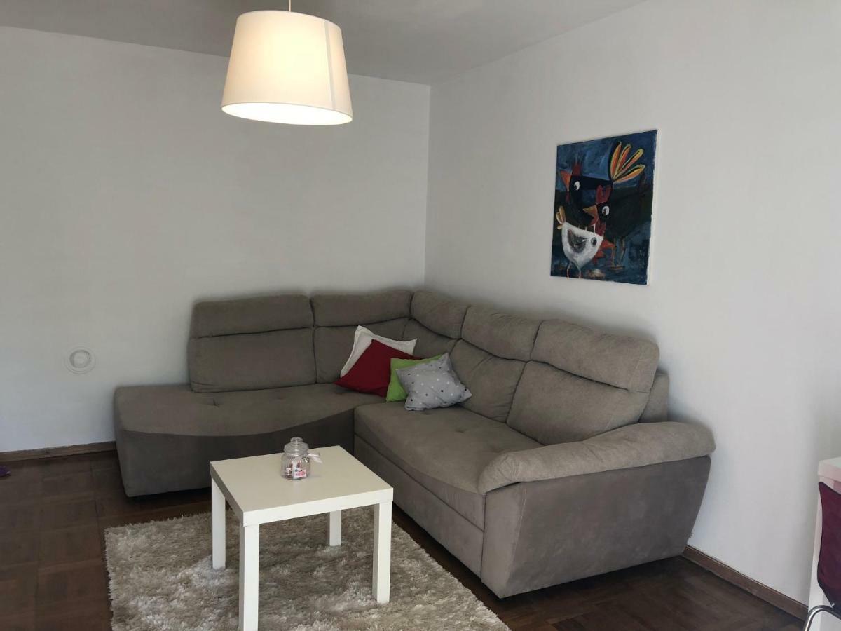 Apartment Safran Novigrad Istria Esterno foto