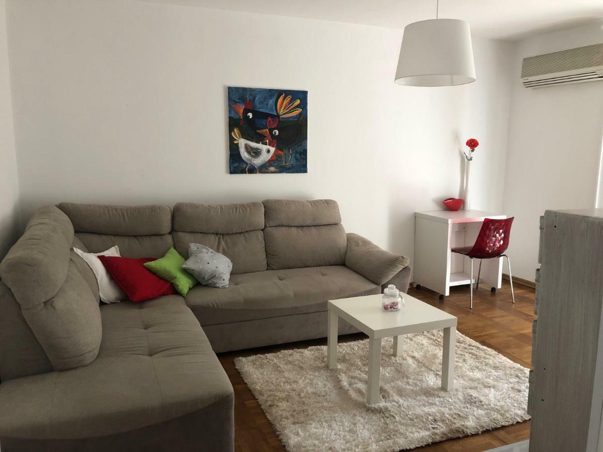 Apartment Safran Novigrad Istria Esterno foto